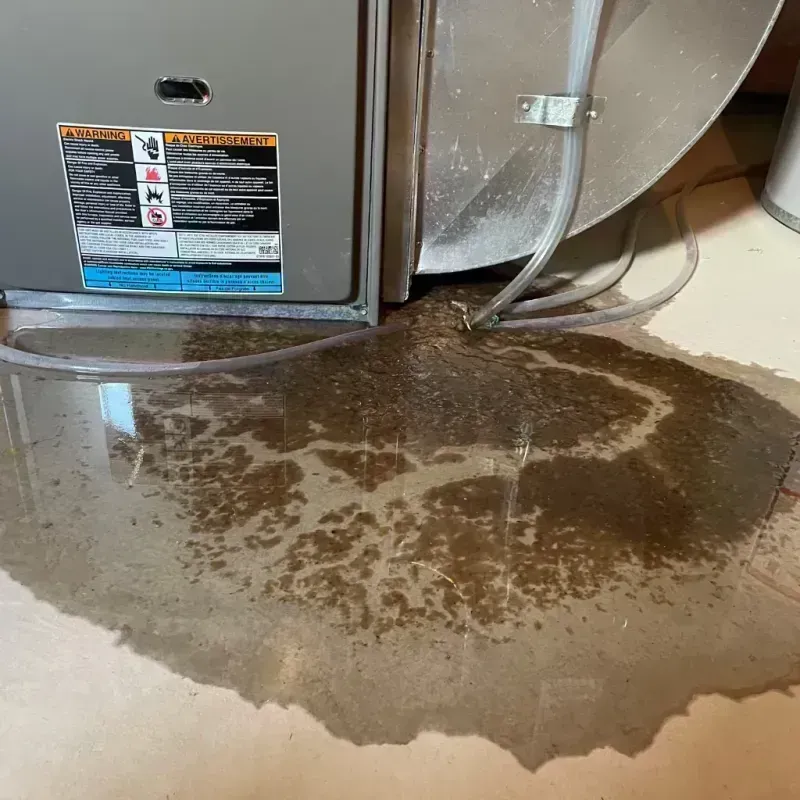 Appliance Leak Cleanup in Justin, TX